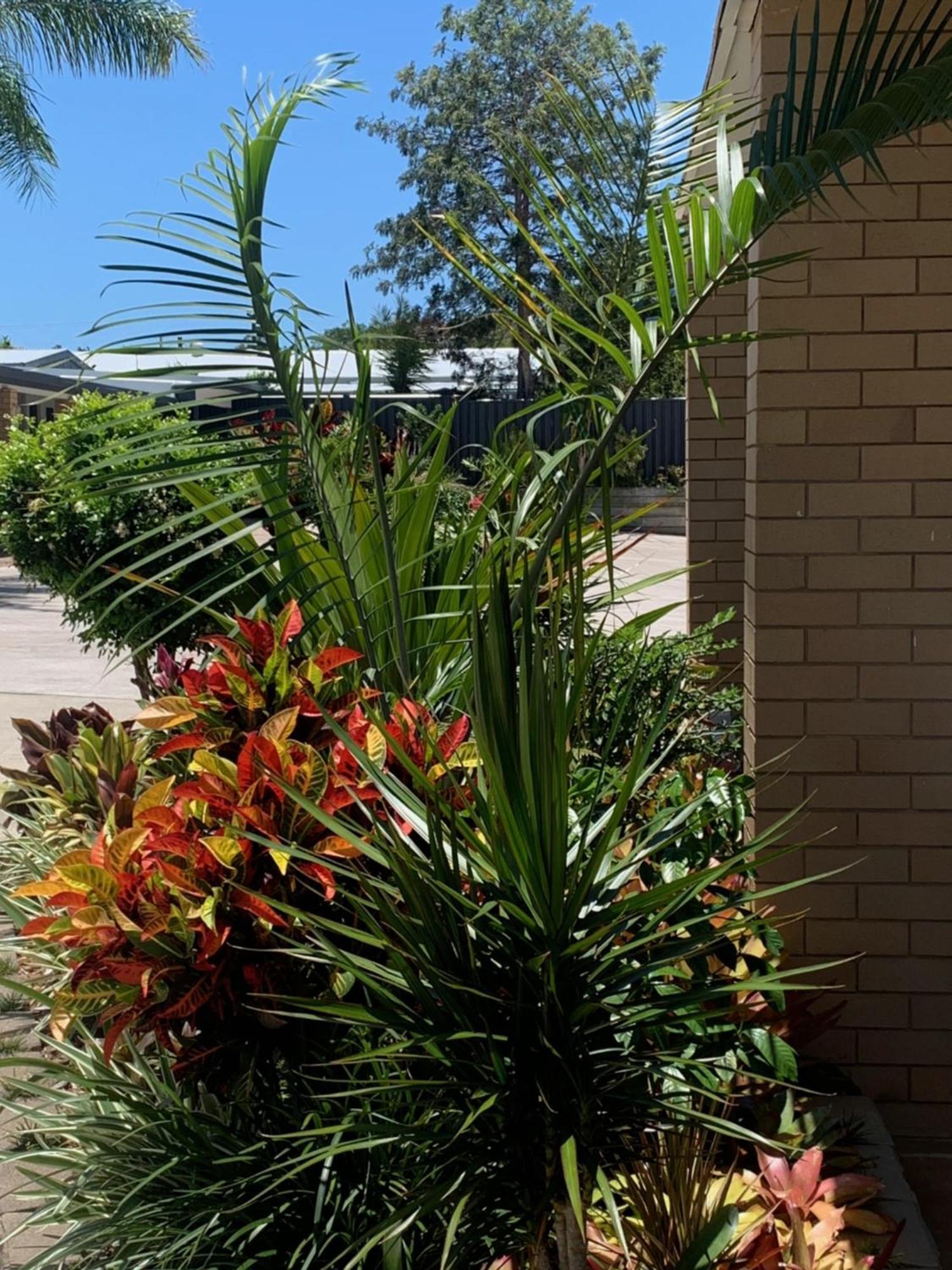 Shady Rest Motel Gympie Exterior foto